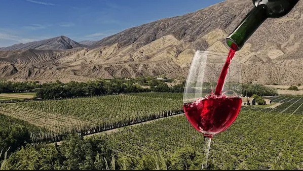 Copa de vino tinto sirviéndose frente a viñedos de altura y cerros de colores en la Quebrada de Humahuaca, Jujuy.
